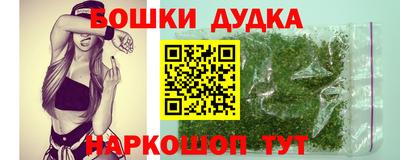 spice Славгород
