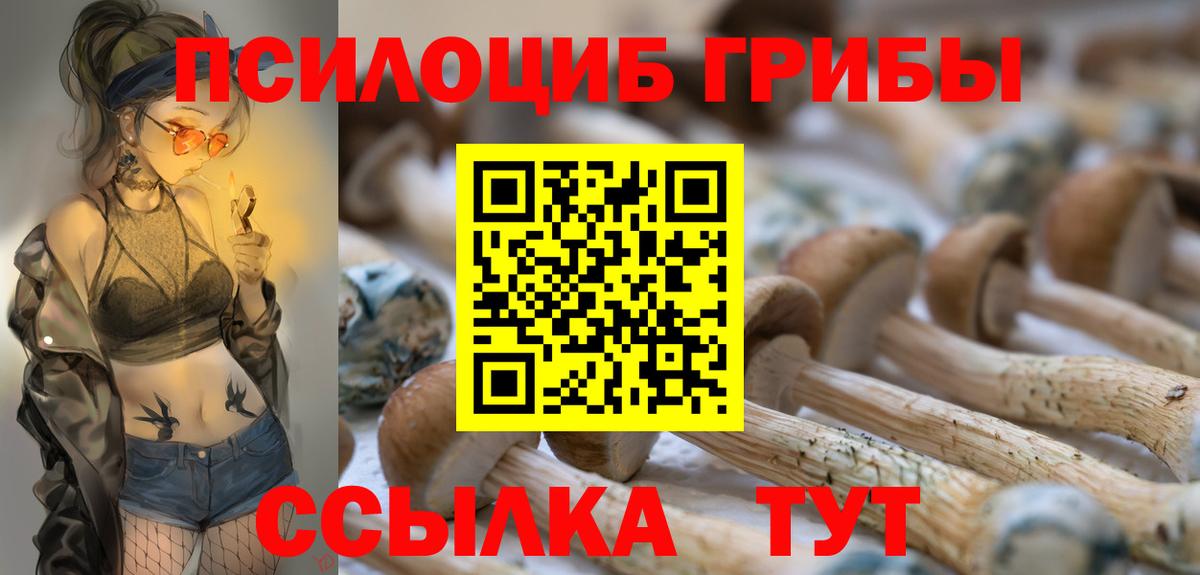 Галлюциногенные грибы Cubensis Омск