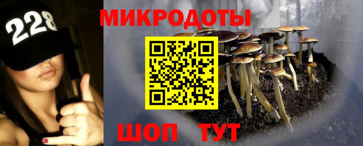 Омск  купить наркотики цена  Вход с VPN  Псилоцибиновые грибы мухоморы 